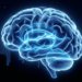 Como o cérebro se "limpa" durante o sono e por que o sono é fundamental para prevenir o Alzheimer