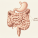 Qual é a proteína essencial para um intestino saudável, segundo especialistas em gastroenterologia?