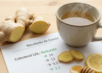Gengibre reduz colesterol ruim e protege a saúde do coração naturalmente segundo estudo