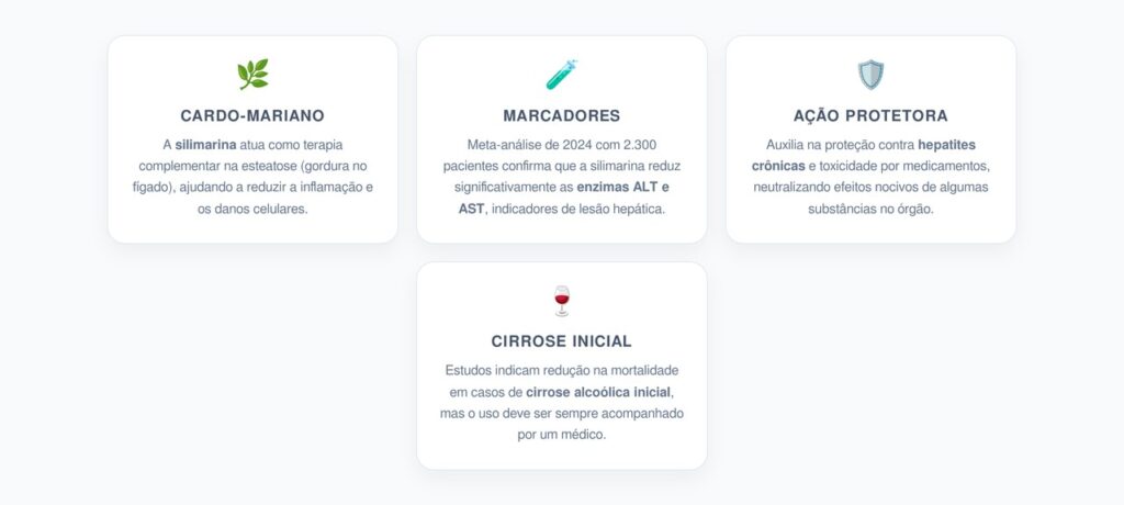 Silimarina: Benefícios e Evidências para o Fígado