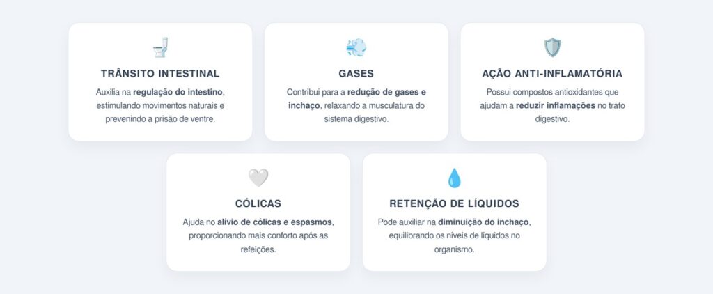 Principais benefícios do chá de erva-doce para a saúde digestiva