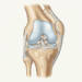 A osteoartrite afeta a qualidade de vida mas se movimentar a melhora