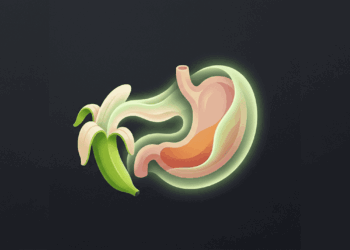 A fruta que regenera e protege a mucosa do estômago segundo a ciência