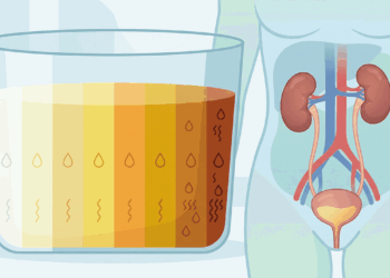 O que a cor da sua urina pela manhã revela sobre o seu metabolismo