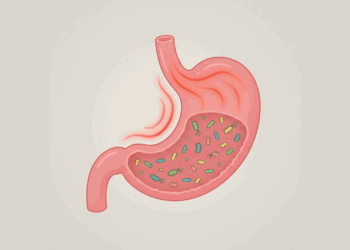 Como saber se tenho H. pylori? Aqui estão os sintomas e os exames