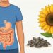 Qual é a semente que ajuda a diminuir o cortisol, mas que poucos sabem que proporciona esse benefício?