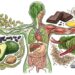 Por que o magnésio é importante: quando suplementá-lo e quando a dieta é suficiente