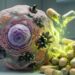 Como obter antioxidantes de forma segura sem aumentar o risco de tumores