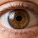 Por que as lágrimas que os nossos olhos produzem o tempo todo são de grande importância para a visão