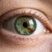 Cor dos olhos: quais são as mais raras e as mais comuns no mundo, e o que a genética explica sobre sua origem?
