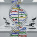 DNA extraterrestre: os componentes fundamentais da biologia encontrados em um corpo celeste