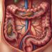 6 hábitos matinais que ajudam o intestino a funcionar melhor durante todo o dia
