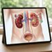 6 passos para se proteger da insuficiência renal: Especialistas revelam as dicas de prevenção mais importantes