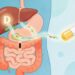 A falta de vitamina D não se deve apenas à falta de sol, mas sim a problemas digestivos como inflamação intestinal ou irritação do fígado