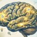 Qual é o suplemento essencial para combater a névoa mental e melhorar o foco segundo especialistas em neurologia