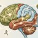 Como manter o cérebro funcionando bem por mais tempo? 5 hábitos que neurologistas consideram essenciais