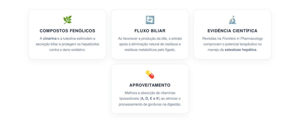 Como os nutrientes do extrato de alcachofra ajudam o fígado a eliminar toxinas e aproveitar vitaminas