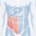 Dor abdominal do lado direito: que sinais de doença podem indicar?