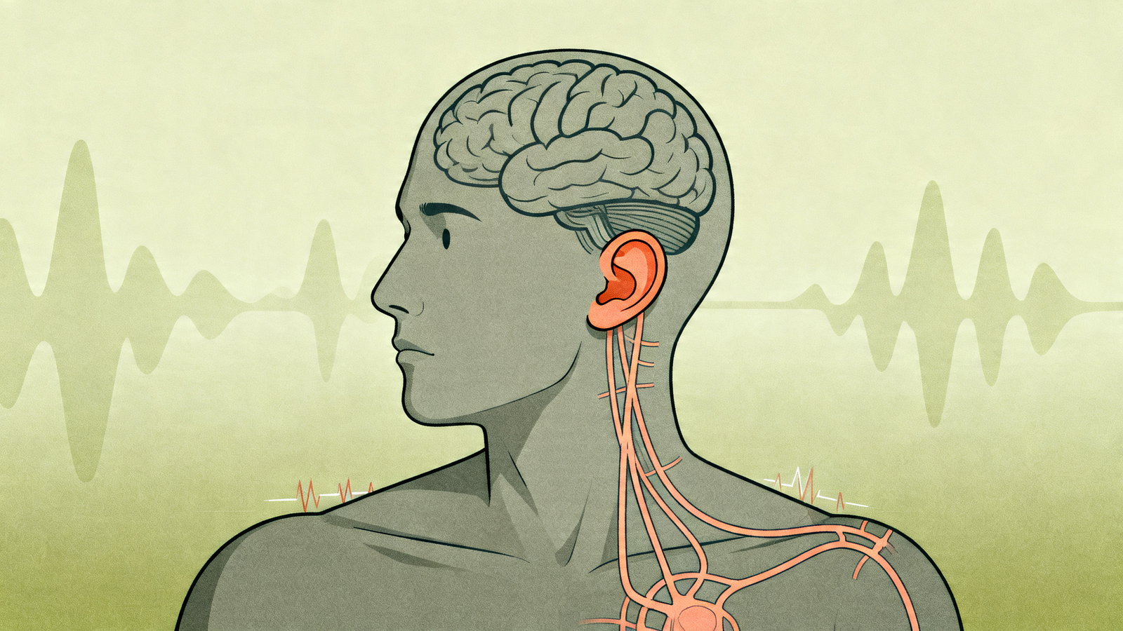 Estudo sugere base genética compartilhada entre misofonia, ansiedade e depressão.
