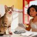 Foi detectado um fungo que se transmite de gatos para humanos, o que gera preocupação entre os cientistas