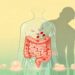Fraqueza constante: como a inflamação intestinal reduz a absorção de nutrientes a longo prazo