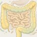 A água de aveia é boa para quem tem intestino inflamado?