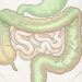 Banana verde: um remédio natural para o desequilíbrio da microbiota intestinal