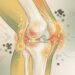 Cúrcuma em pó: um remédio natural para a inflamação nas articulações