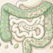 Que alimentos ajudam a limpar o intestino e fortalecem as bactérias boas do organismo