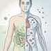 Quais são os sintomas da deficiência de ferro e como diferenciá-la da síndrome do intestino irritável