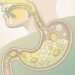 O inchaço abdominal não se deve apenas ao que se come, mas sim à velocidade com que se come, que altera a produção de enzimas digestivas