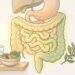 Intestino preso: 6 hábitos que ajudam a regularizar o trânsito intestinal de forma