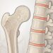 Cinco dicas: como se alimentar para fortalecer os ossos e prevenir a osteoporose após os 50 anos