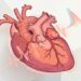 Como diferenciar ansiedade de problema cardíaco: o que observar quando o coração acelera, segundo cardiologistas