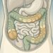 Como diferenciar inchaço de gordura abdominal: o que fazer, segundo especialistas