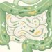Saúde intestinal no dia a dia: estratégias de 6 especialistas para equilibrar a microbiota e melhorar a digestão