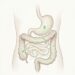 Como o chá de hortelã ajuda a tratar a inflamação no intestino num curto prazo