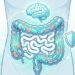 Por que ter um intestino saudável é essencial: da imunidade ao controle do humor