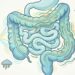 O impacto da síndrome do intestino irritável: quais são as principais causas, como prevenir e tratar a condição