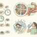 Será mesmo necessário comer de três em três horas para manter o metabolismo ativo?