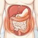 Como a gordura visceral se acumula? 4 motivos inesperados para o dia a dia