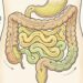 Quantas vezes por dia é saudável evacuar para manter um intestino funcionando bem?