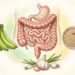 Alimentos que reduzem o inchaço abdominal e equilibram a flora intestinal