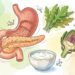 Alimentos que ajudam na digestão de proteínas e na produção de enzimas