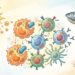 Vitamina D para imunidade baixa: o que dizem os estudos científicos?