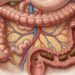 Quantas vezes é normal ir ao banheiro por dia sem indicar problema intestinal ou desidratação