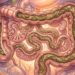 Fibras e intestino preso: qual a quantidade diária ideal para regular o trânsito?