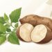 O "tubérculo simples" que alimenta as bactérias boas e melhora a digestão lenta