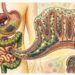 Chia: benefícios comprovados para o intestino, glicemia e saúde cardiovascular