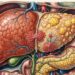 Quais são os fatores que dificultam a recuperação hepática?